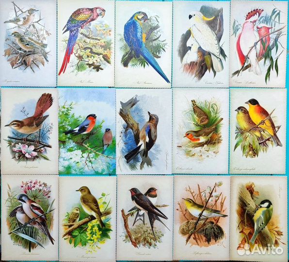 Открытки современные цветы, птицы