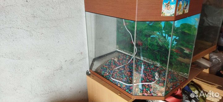 Аквариум 75 л