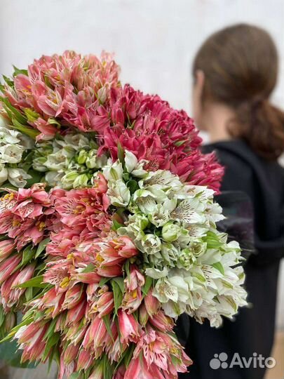 Альстромерия