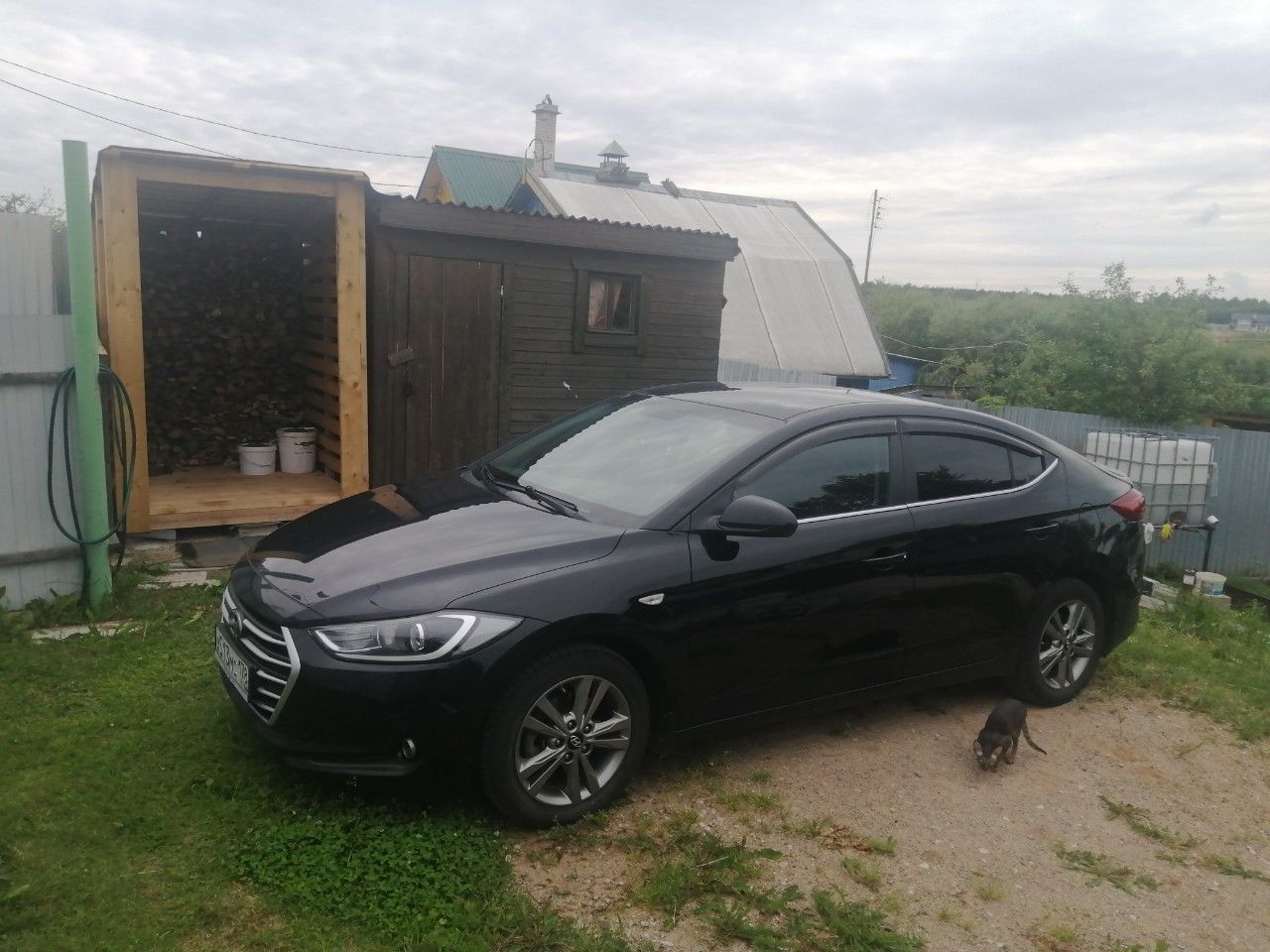 Hyundai Elantra: фото владельца