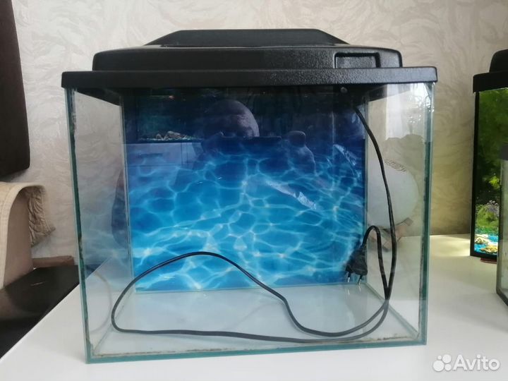 Аквариумы