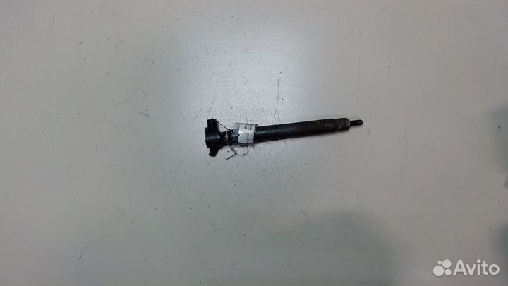 Форсунка топливная Chevrolet Captiva, 2012