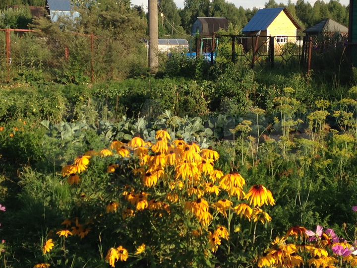 Участок 8 сот. (СНТ, ДНП)