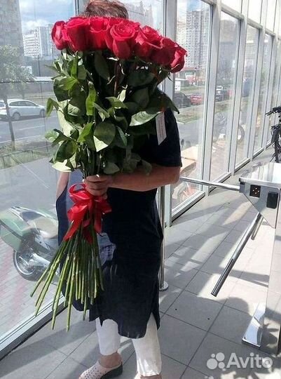 Розы гиганты 140 150 160 170 180 200