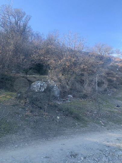 Участок 1,2 га (ИЖС)