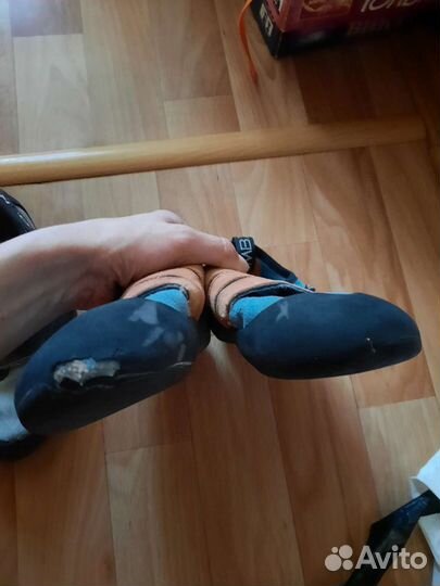 Скальные туфли