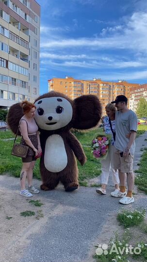 Ростовой костюм Чебурашки