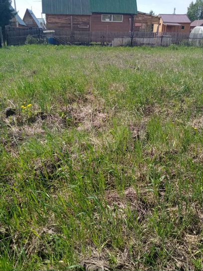 Участок 5,1 сот. (СНТ, ДНП)
