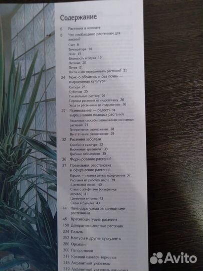 Энциклопедия комнатных растений