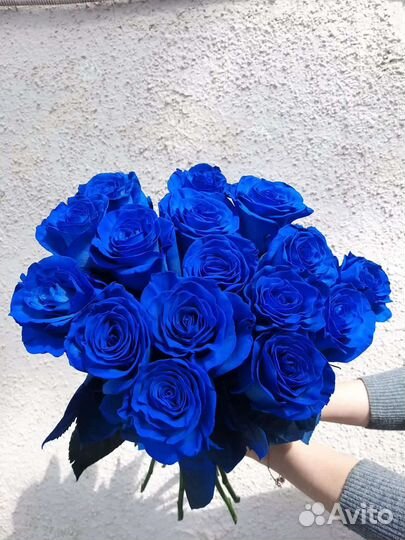 Синие розы