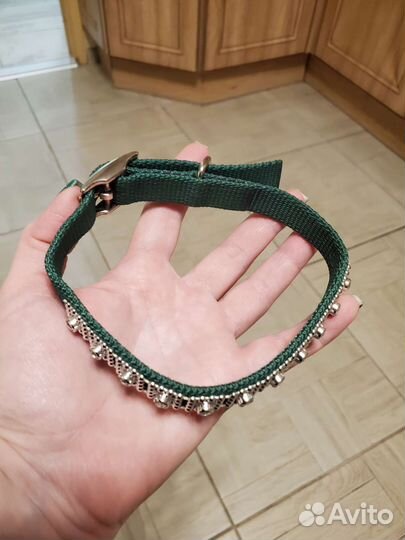 Новый собачий ошейник и поводок