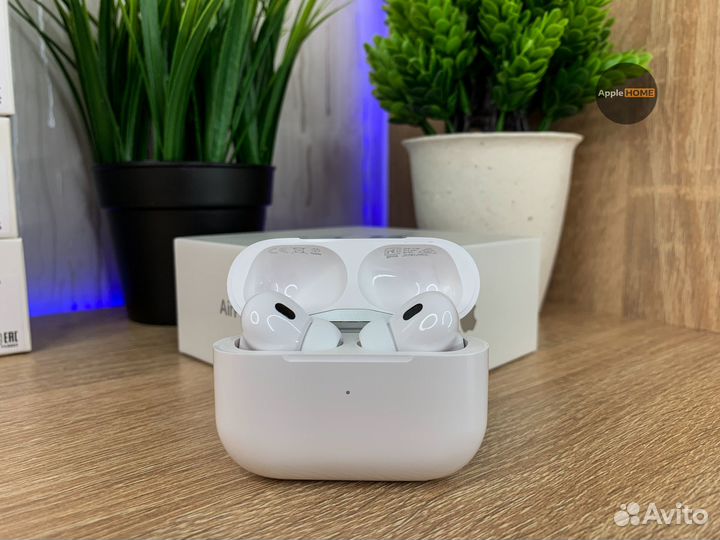 AirPods Pro 2 / Обновленная версия / Type-C