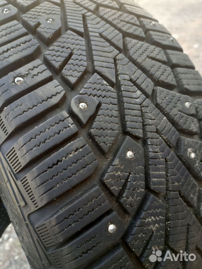 Gislaved NordFrost 100 205/55 R16
