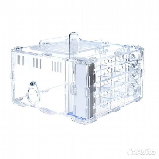 Формикарий Crystal L 3.0 ферма для муравьев