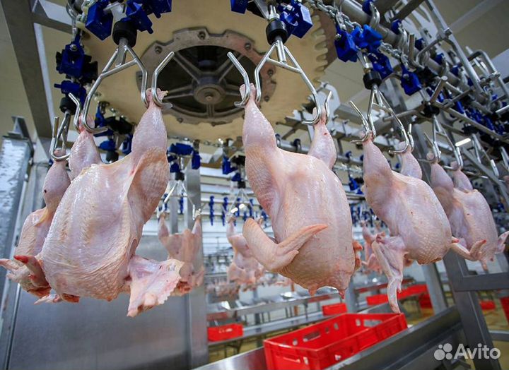 Упаковщик(ца) на птицефабрику. Без опыта