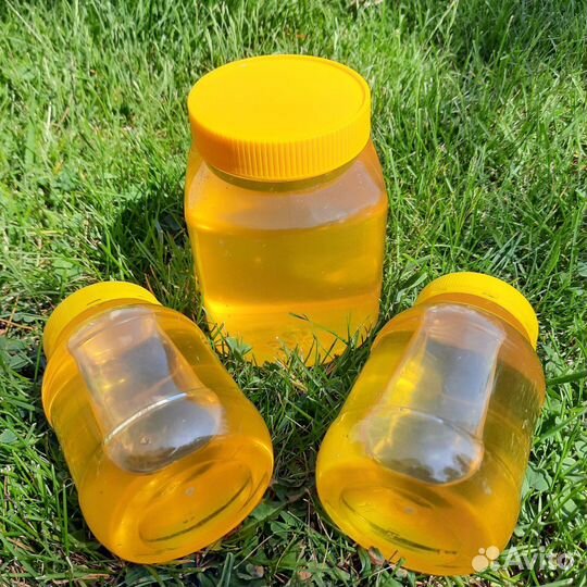 Мед акации алтайский (сбор 2023)