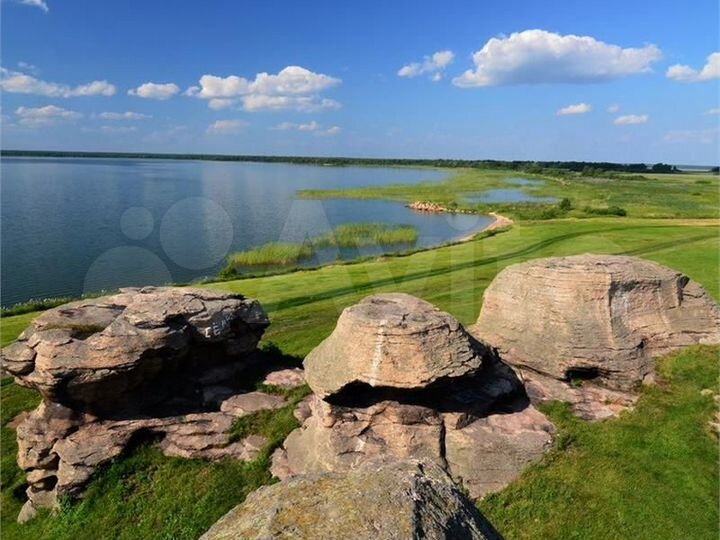 Участок 81 га (СНТ, ДНП)