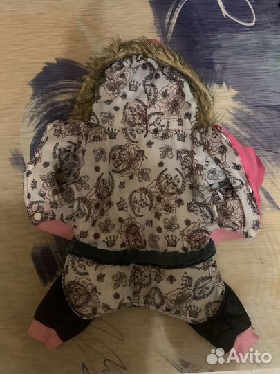 Одежда для маленьких пород собак