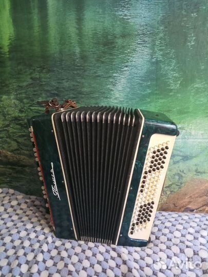 Баян Полисье