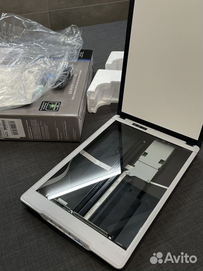 Сканер Epson Perfection V19