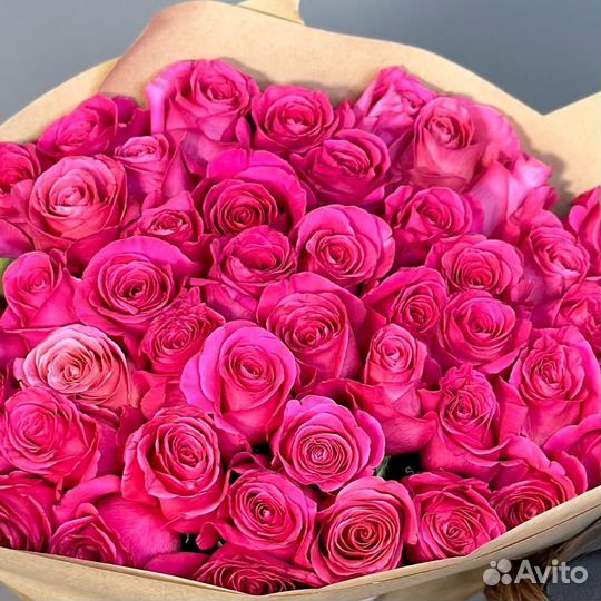 Роза Розы Роза