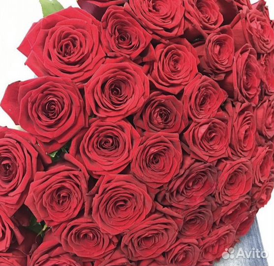 51 Роза красные, белые