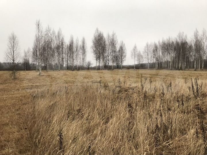 Участок 100 сот. (ИЖС)