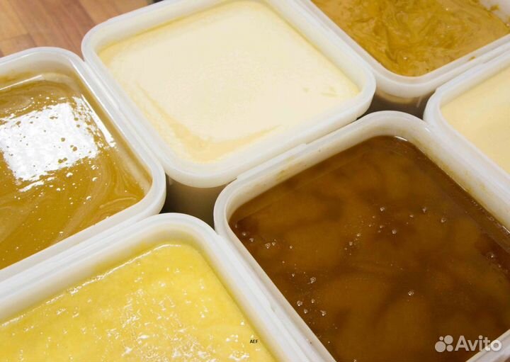 2024 Мед натуральный из Алтая оптом