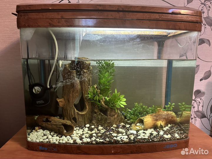 Аквариум