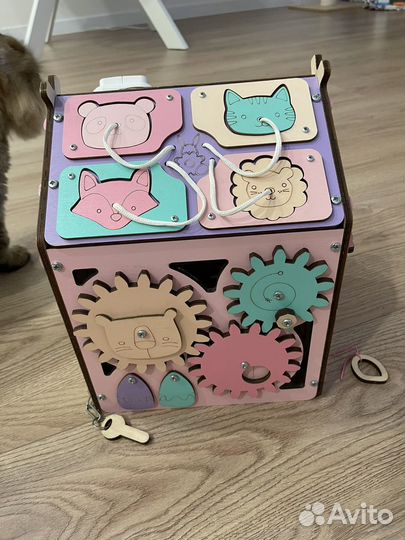 Бизидом со светом