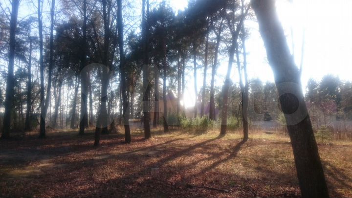 Участок 10 сот. (ИЖС)