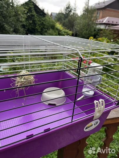 Новая клетка для грызунов Ferplast, с наполнением