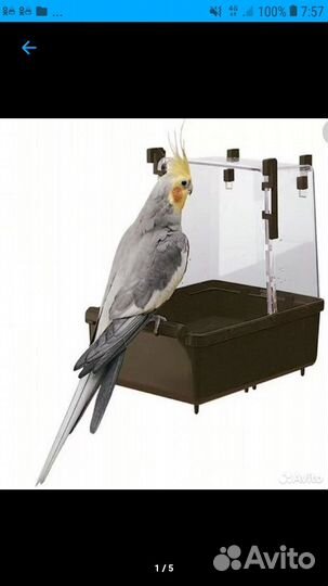 Купалка для средних попугаев