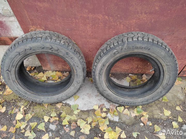 Matador MP 51 Sibir 2 185/65 R15