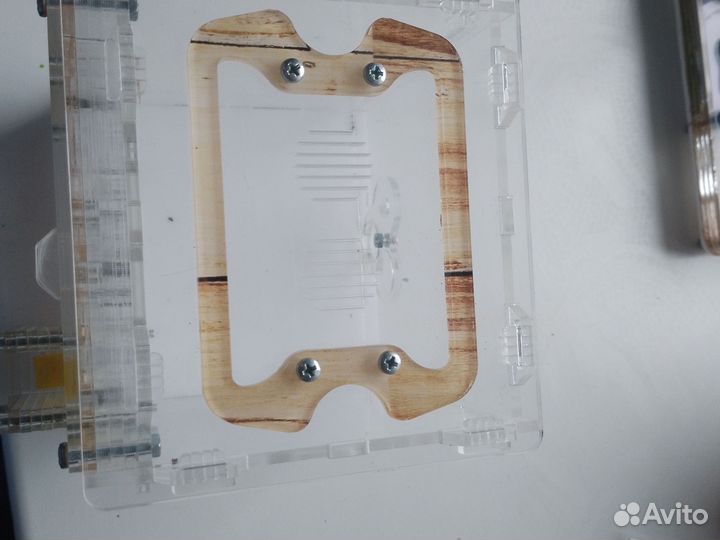 Муравьиная ферма