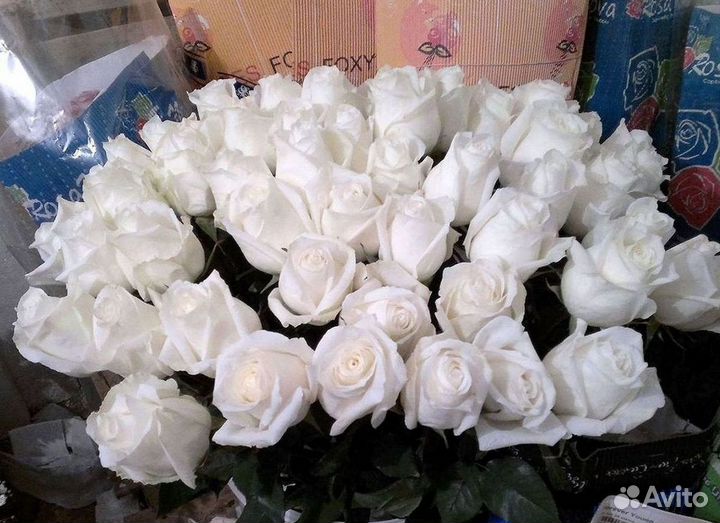 Высокие розы Доставка цветов