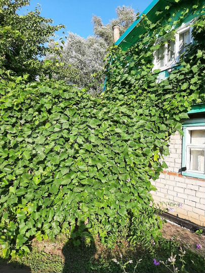 Дача 60 м² на участке 6 сот.