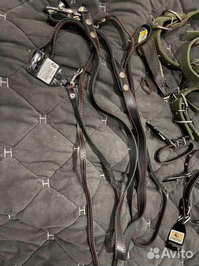 Ошейник и поводок, рулетка