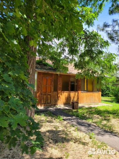 Базы отдыха Ветерок на реке Ахтуба, рыбалка