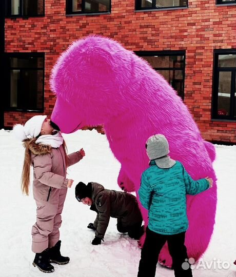 Поздравление/аниматоры/ростовые куклы