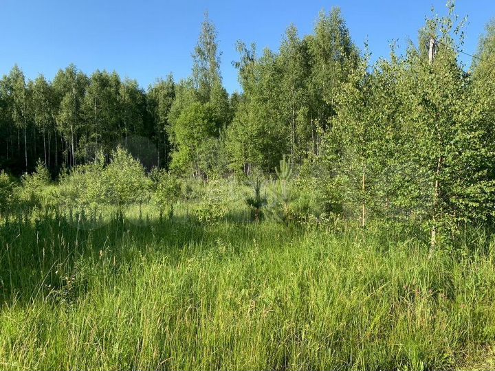 Участок 15 сот. (ИЖС)