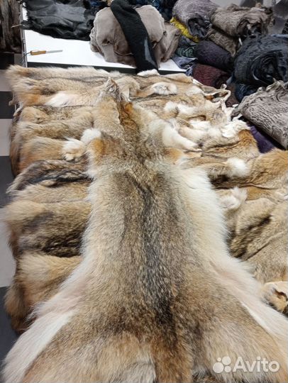 Натуральный мех койот, луговой волк шкурки