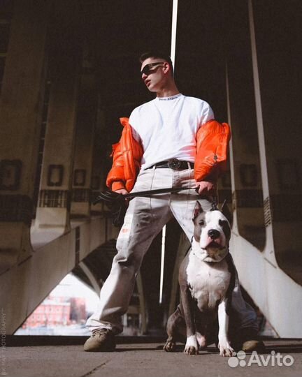 Стаффордширский терьер вязка за алиментного щенка