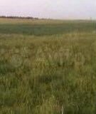 Участок 3 га (СНТ, ДНП)