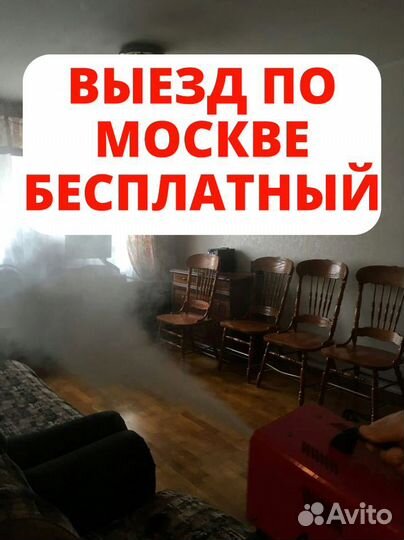 Уничтожение клопов, тараканов. Обработка участка