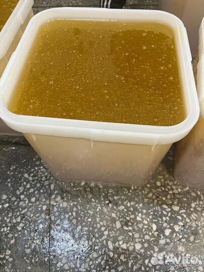 Донниковый мед оптом