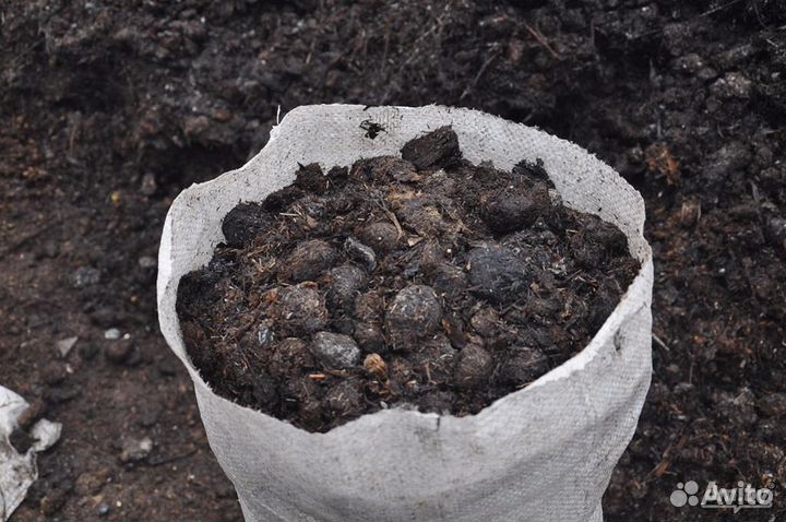 Конский навоз