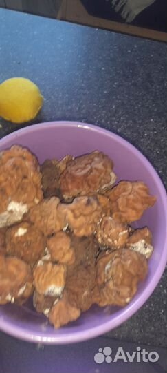 Сморчки свежие грибы