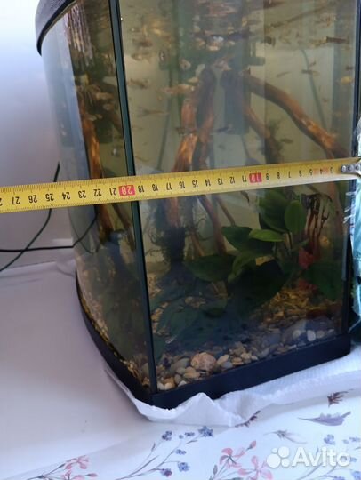 Аквариум, без содержимого