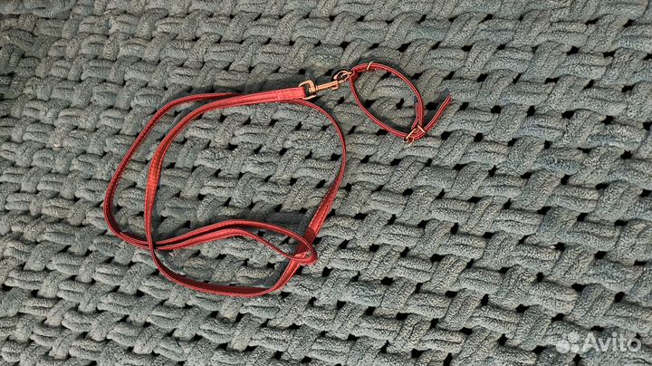 Поводок для маленьких собак